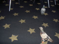 PICT1316.JPG