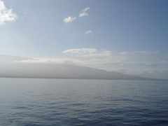 DSC01594