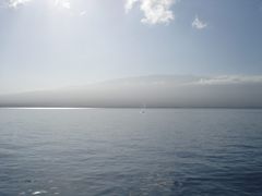 DSC01599