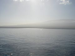 DSC01603