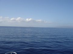 DSC01613