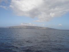 DSC01626