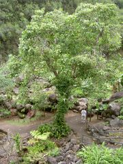PICT2042