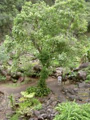 PICT2043