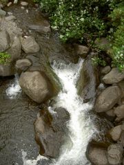 PICT2044