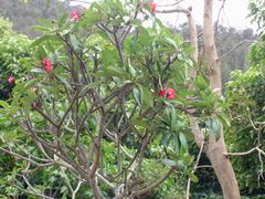 PICT2064
