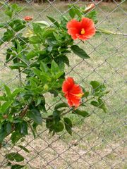 PICT2065