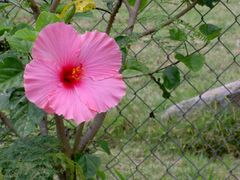 PICT2067