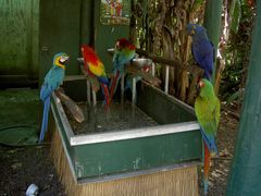 PICT2134