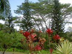 PICT2689