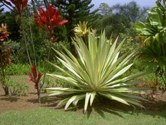 PICT2690