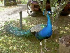 PICT2695