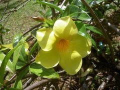 PICT2699