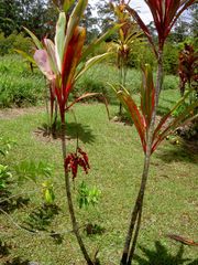 PICT2701