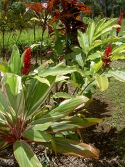 PICT2702