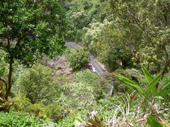 PICT2703