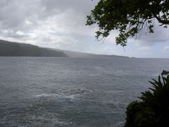 PICT2801
