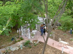 PICT1552.JPG