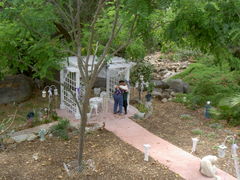 PICT1553.JPG