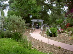 PICT1554.JPG