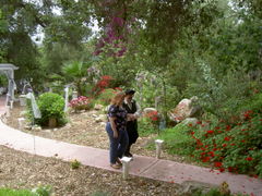 PICT1556.JPG