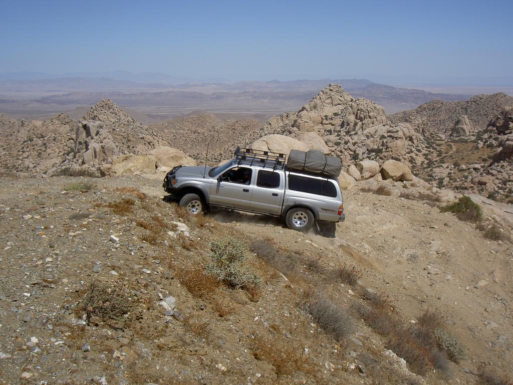 PICT5195.jpg