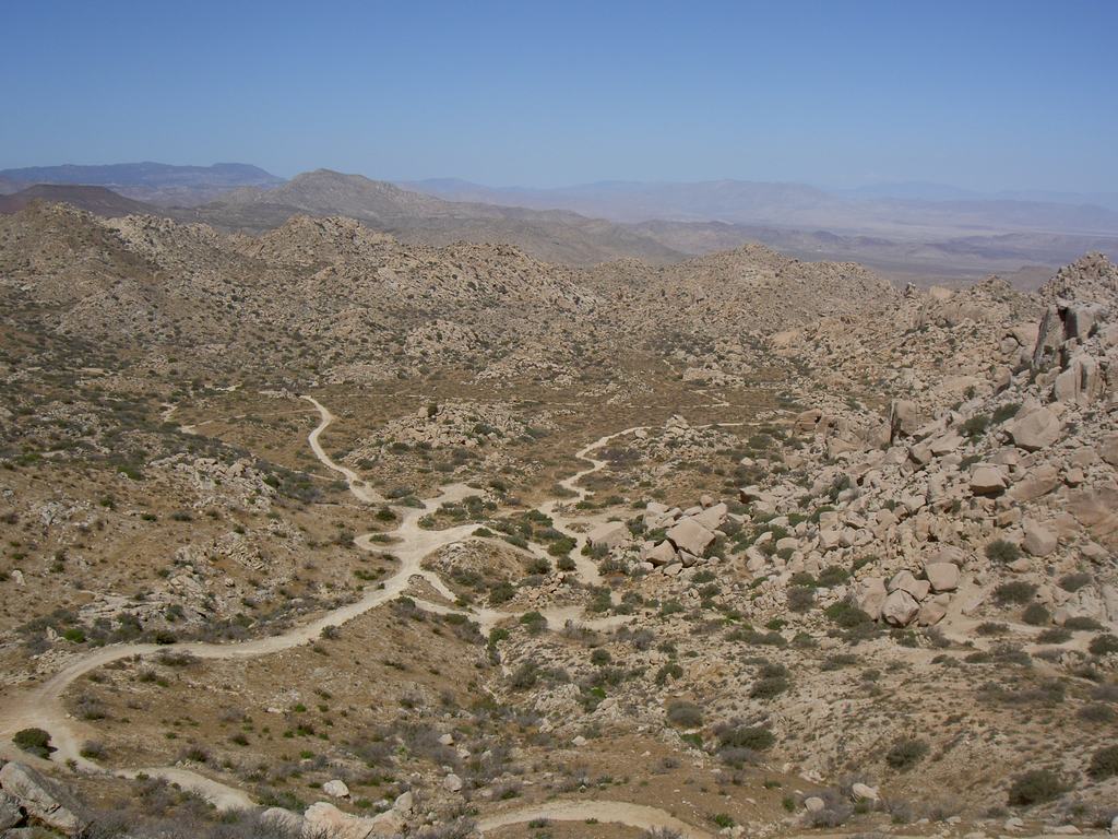 PICT5199.jpg