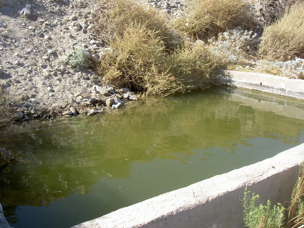PICT5223.jpg
