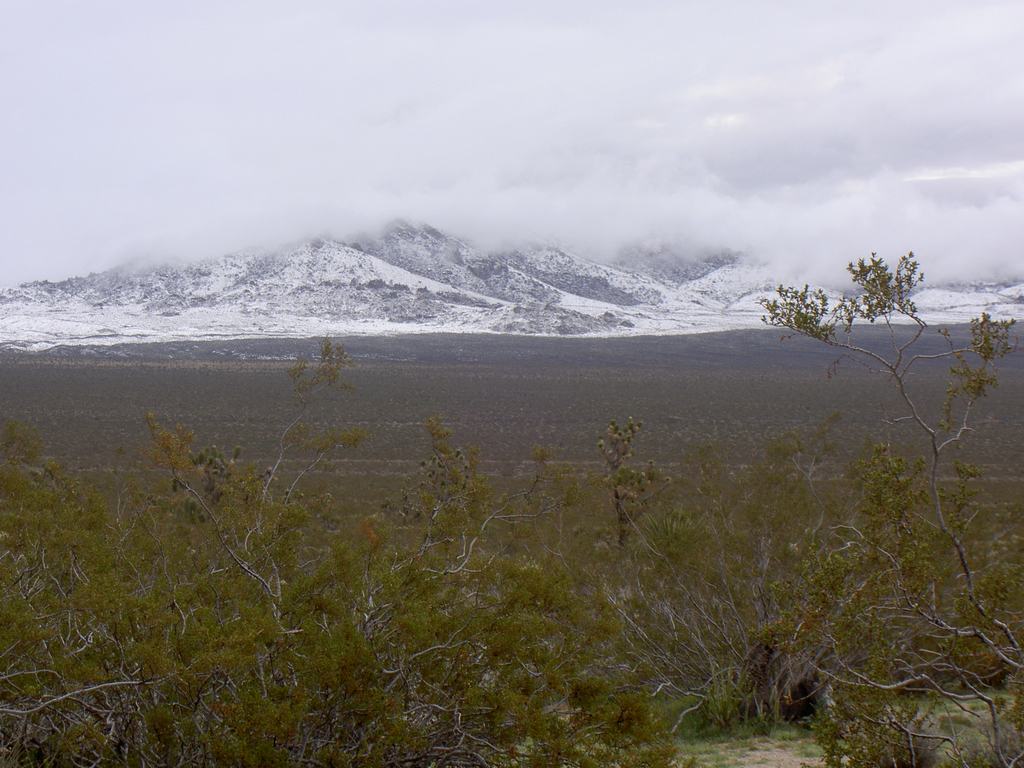PICT4082.jpg