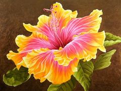 artistic hibiscus
I REALY like this.